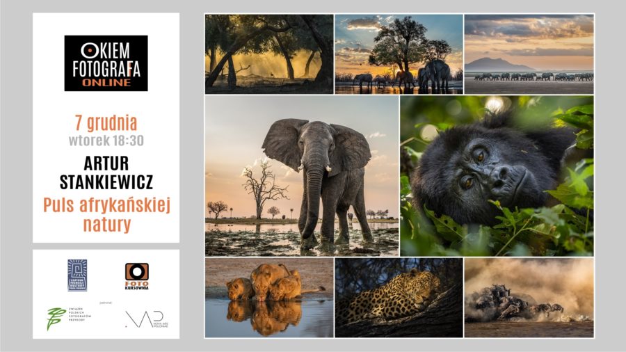 OKIEM FOTOGRAFA ON-LINE: Plus afrykańskiej natury